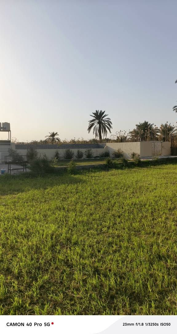 السلام عليكم مزرعه دونم ونص ٣٧٥٠م كامله من خدمات كهرباء ماء تحتوي علئ صحيات واستقبال وغرفتين ومطبخ سند ٢٥ تحويل مباشر العنوان بابل المسيب منطقه الشمامره مقابيل النهر مباشر باقي التفاصيل الاتصال علئ *********** الفلوجة, الأنبار
