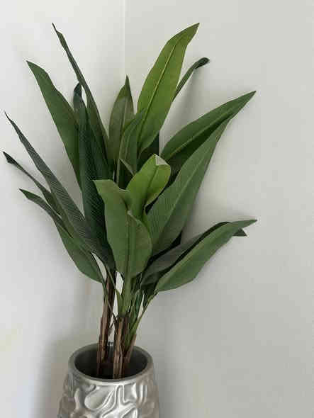 فازه تركيه حديثه للبيع للاستفسار على الرقم 
***********
