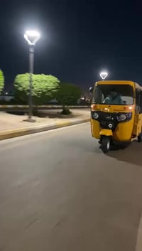 للبيع هورنات يرانيات مسسه سعر 250 بيهن مجال رقم 07777488565