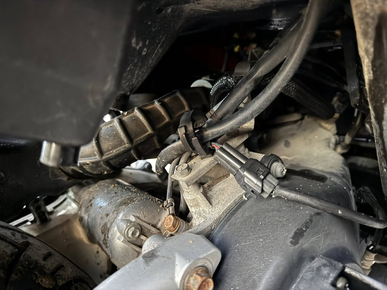 السلام عليكم مره خصت مدير الكروب دراجه جي تي آر البيع كفاله عامه كله بلادي سعر 1150 اي ستفسار تصال *********** عنوان بغداد حي النصر
