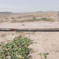 شاصي • بخير • ناحية كنعان