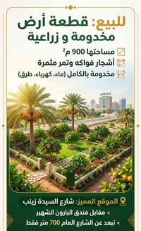 شارع السيدة زينب • ٩٠٠م • أرض مخدومة