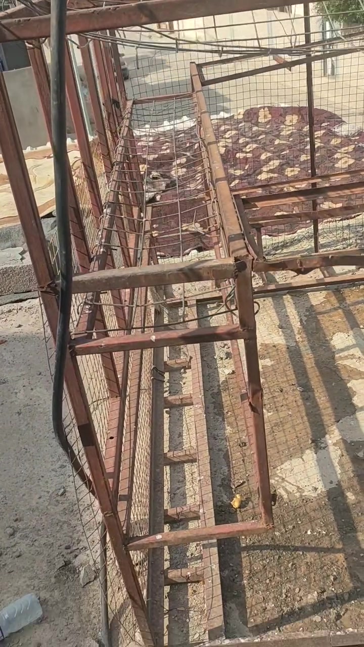 محجل مال ستوته ارضي للبيع بس يحتاج صبغ


**إذا كنت صاحب هذا الإعلان وتريد حذفه لأي سبب، رجاءا أرسل رسالة إلى الدعم الفني**