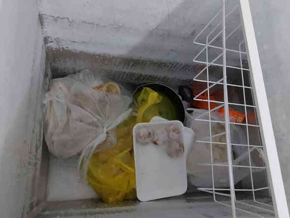 للبيع غراض بيش ثلاجة سامسونك حجم ٣٠قدم مصار ٥اشهر عندي ماخذه مليون ونص سعره٨٠٠بيه مجال بسيط مجمدة مصار ٥اشهر اخذته وية ثلاجه حجم ١٦سعره ٣٥٠بيه مجال بسيط تخم تركي ٥مقعد ٢٥٠مكيف طنين ميديا سعرة ٢٢٥مكانهم سيدية استفسار ***********
