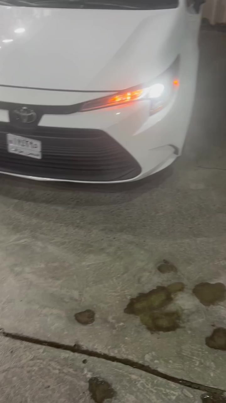 سلام عليكم أخوانا الطيبين 
٢٠٢٤ بدون حادث بدون صبغ  حتى الدعاميات  فقط الرصعه الي موجوده بطرف البونيد ماشيه ١١٠٠٠ منفيست باسمي تريد وكاله تريد بصمه تسجل جميع المحافظات داخل لونين بيجي وكريمي شاشه ابل كار بلي كأمره خلفيه دواره رادار امامي تحديد مسار تنبيه عند التصادم سايد بريك بصمه سعر البيع 155 لمعرفه تفاصيل اكثر الاتصال على الرقم ***********
وات ساب ***********
