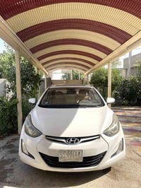 النترا ٢٠١٦ • مكفوله • مراوس بأوبتيما