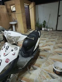 ٥٥ شلعة • معدل كامة • سلف