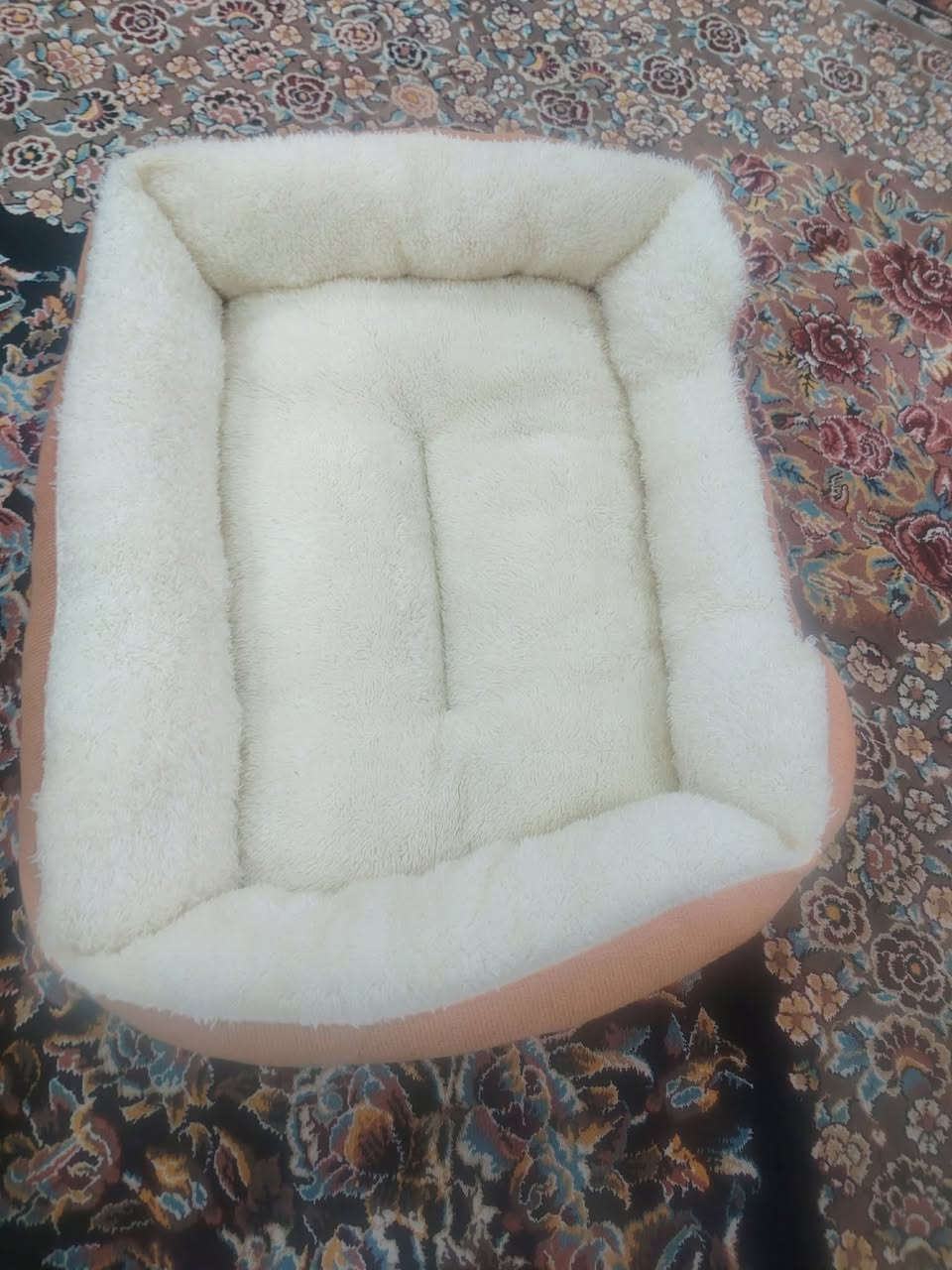 لتر بوس وغراض بزونه جديد مامستعمل ب 25 الف بي مجال قليل مكان خانقين


**إذا كنت صاحب هذا الإعلان وتريد حذفه لأي سبب، رجاءا أرسل رسالة إلى الدعم الفني**
