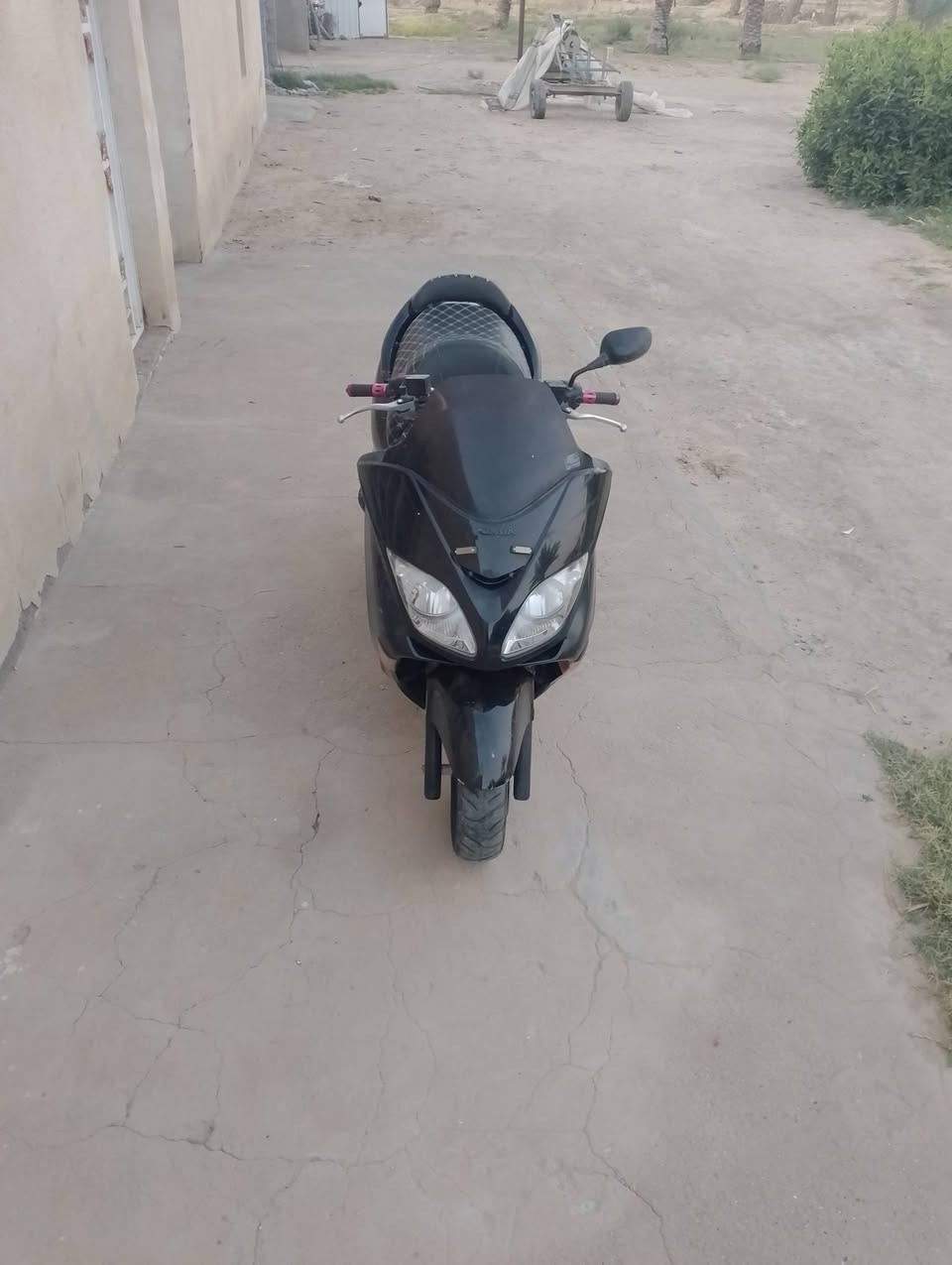 دراجه للبيع 08 فورزا جير شقال ست نمر 6 شلعه ومعدل خير من الله صوت ناعم مال المحرك *********** المشراي لا يتعبني
