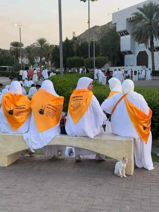 بسم الله الرحمن الرحيم على بركة الله تبدأ شركة ضيوف الشمري للحج والعمرة بأستلام الجوازات والمقاعد محدودة في شعبان

العمرة في شعبان فيه تكفير للذنوب وتقوية العلاقة بالله. 

عمرة شعبان… كلشي علينا بس صوغتك عليك
المقاعد مع شركة ضيوف الشمري  محدودة جداً
لضمان جودة الرحله وتميزها 
📅 موعد رحلتنا القادمة:
2026/2/2 

رحلات العمرة  براً:
الشخص 900 الف نقداً
يوجد نظام الاقساط على الماستر كارد
----————————
⬛ مميزات رحلة العمرة براً:
بإشراف المتعهد: حسين إياد 
✅ الانطلاق والعودة من وإلى مقر الشركة
✅ الإقامة في فنادق مميزة:
🔸 المدينة المنورة: فندق مجاور للحرم النبوي
🔸 مكة المكرمة:  (محبس الجن أوو في العزيزية)
         
✅ 3 وجبات طعام
✅ 3ايام ليلتين  في المدينة + 6 ايام في مكة
✅ زيارات دينية كاملة للمزارات في مكة والمدينة
✅ رحلة سياحية اختيارية إلى جدة( على حساب المسافر) 
✅ باصات حديثة ومريحة
✅ إشراف إداري وديني كامل مع مرشدين أكفاء

🎁 هدايا مميزة لكل معتمر:
▫️ حقيبة كتف
▫️ كتيب "المهم في العمرة"

🔰 كل شي علينا... بس صوغتك عليك 🔰

📌 المستمسكات المطلوبة للتسجيل:
▪️ جواز سفر نافذ
▪️ صورة شخصية بخلفية بيضاء

📞 للحجز والتسجيل:
يرجى إحضار الجواز والصورة إلى مقر الشركة،
أو إرسال صورة الجواز عبر الواتساب على أحد الأرقام التالية:
*********** اتصال ووتساب                                          *********** أتصال وواتساب

📍 موقعنا في المثنىٰ (السماوة) :
تسليم الجوازات حصراً داخل الشركة 
القشله مجاور مخابز انوار الحسين
