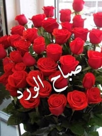 النجف • ٥٠م • طابقين