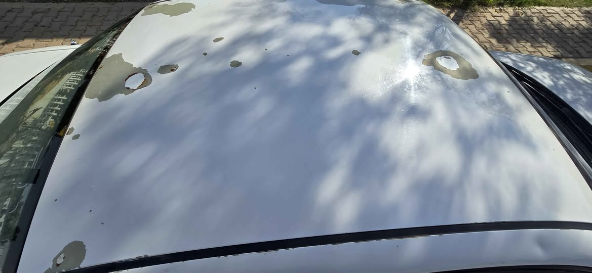 سلاو کاکه ئم سیاره دایونوبرا مودیلی 1997سه نه وی تا٢٨ تازه يه هه موگیانی به شرته ۳۹توزیک معمه له *********** كالار, السليمانية
