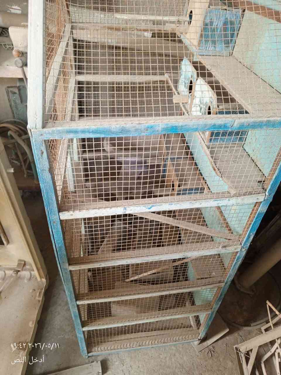 قفص طير الحب مستعمل الحالة جيدة 
السعر ٢٥ الف


**إذا كنت صاحب هذا الإعلان وتريد حذفه لأي سبب، رجاءا أرسل رسالة إلى الدعم الفني**