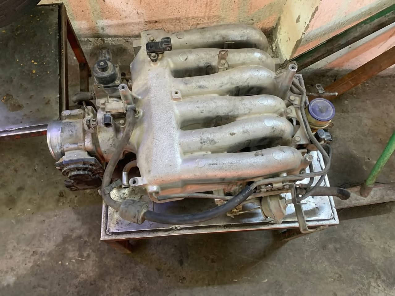 من مجمع حبتور لصيانة الباجيرو سياره الاخ ابو احمد
سيرفز عام بغداد البياع تقاطع درويش مدخل حي التراث مقابل مطعم ضلوع ومندي  

ابوعلي الدراجي

***********

***********

***********

واتساب
