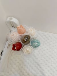 بوكيه توليب • هدية • توزيعات