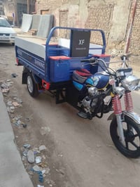 ٢٠١٩ • مكفوله • شاصي