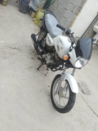 بوكسر • اوراق اصولي • لا دخن