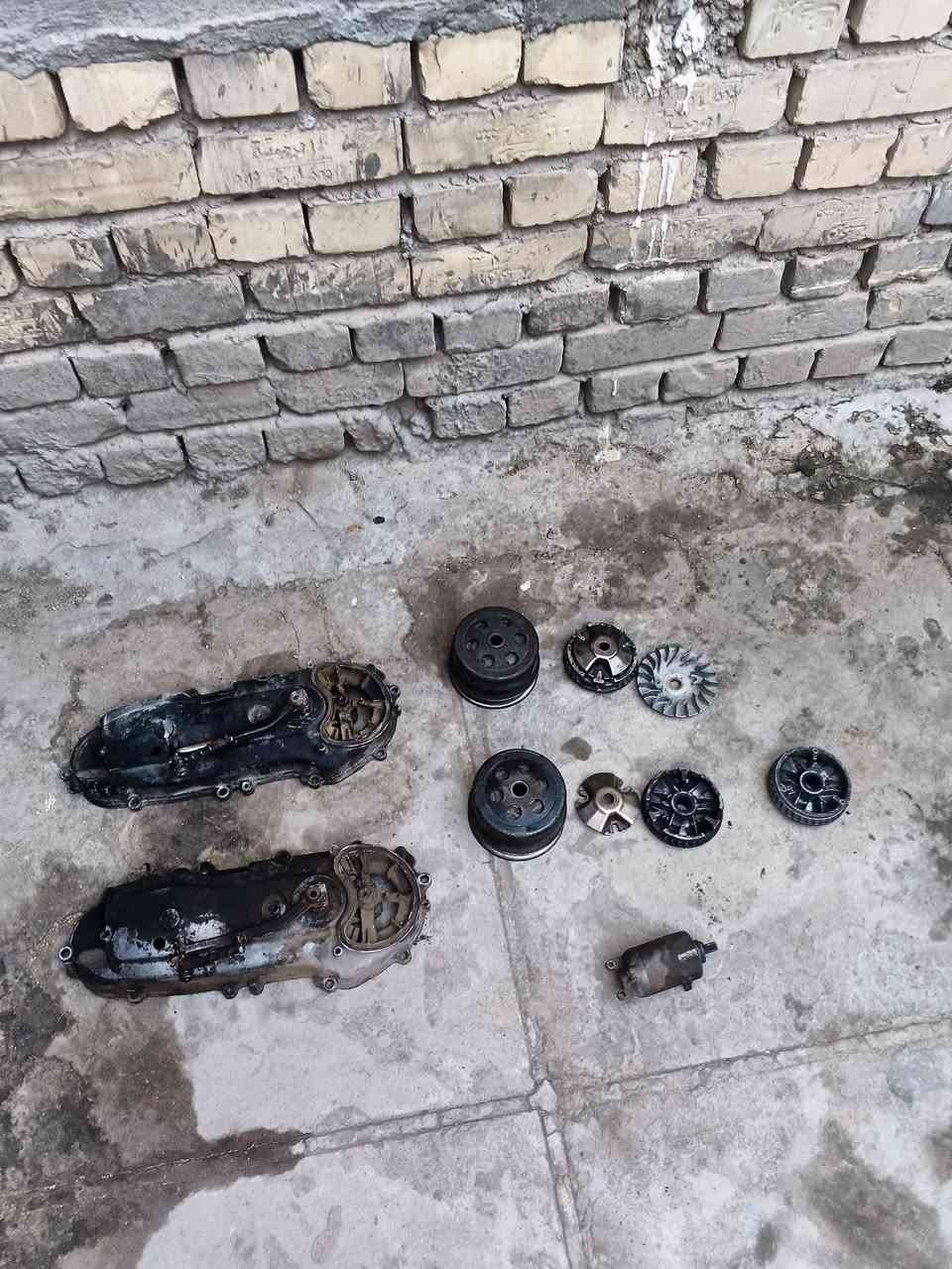 اسعار كله جوه للسوك عرض قوي عليهن يولد غراض فقط سكنس فحل نثيه شتريد خاص او واتساب كله جوه للسوك *********** كله عندي توصيل فقط لمكينه ماكدر اوصلها مكاني بغداد مدينة
