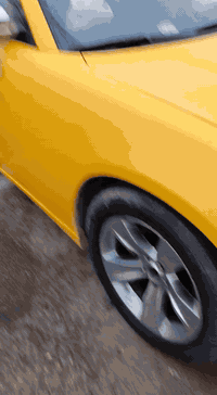 شايجر مدير • ٢٠١٥ • حادث