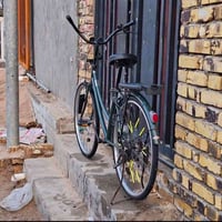 زيتوني • ٢٠١٩ • نجف عباسية