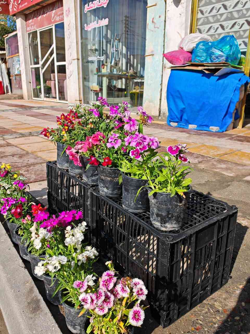 ذي_قار_مركز_المدينه_الإسكان_الصناعي_شارع_الجامع_قرب_الجامع_الكبير
#يوجد_خدمه_توصيل_اتصال_📞*********** 
#وت_سأب_انستگرام_https://www.instagram.com/msahhs87?utm_source=qr&igsh=MWY5czJvaG1sam0zcg==
