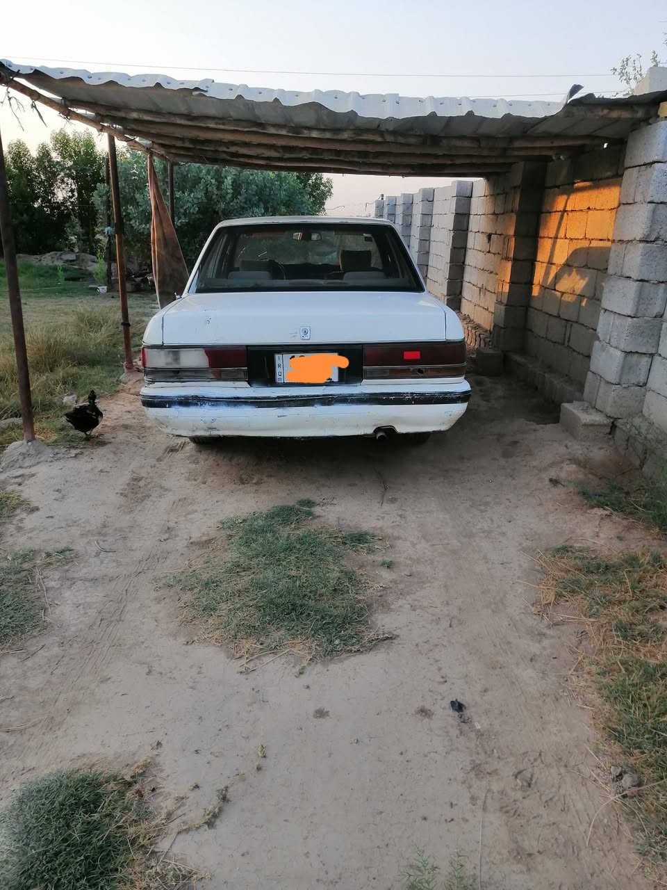 السلام عليكم
تيوتا كراون ابو التاج موديل 1991 ايسر بلاد رقم دولي سنويه لل 29. سياره مال جنايه وجاهزه وسعرها مناسب 33 وبيها مجال. الشراي يتصل *********** بيه واتساب ايضا
