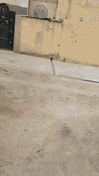 سلام عليكم قطعه البيع زراعية ٢١٠متر وجه ١٠ونزال ٢١  بحي الفلاح قرب حولي جديد الاستفسار انتصل علاء هذ رقم ***********
