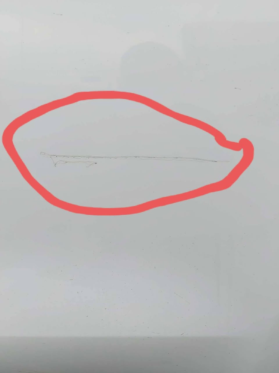 السلام عليكم
سبورتج 2020 خليجي مكفوله
فقط ملاحظات موضحة بالصور
ماشيه 75 الف حقيقي
مكينه ٢٠٠٠ دوش
تحكم ستيرن
شاشه وكامره خلفيه دوارة
داخل حمصي مغلف جلد
مري شفط ترحيب
اشاير بالمري
حساس خلفي وامامي
ويل كب
برده خلفيه
٣ انظمه
سويج
لد خلفي
باقي المواصفات المعروفه
رقم بغداد
السعر 210 ورقه بيها مجال  ***********
العنوان بغداد الغزالية
