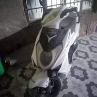 دراجة سكنس • صيني • كايمة