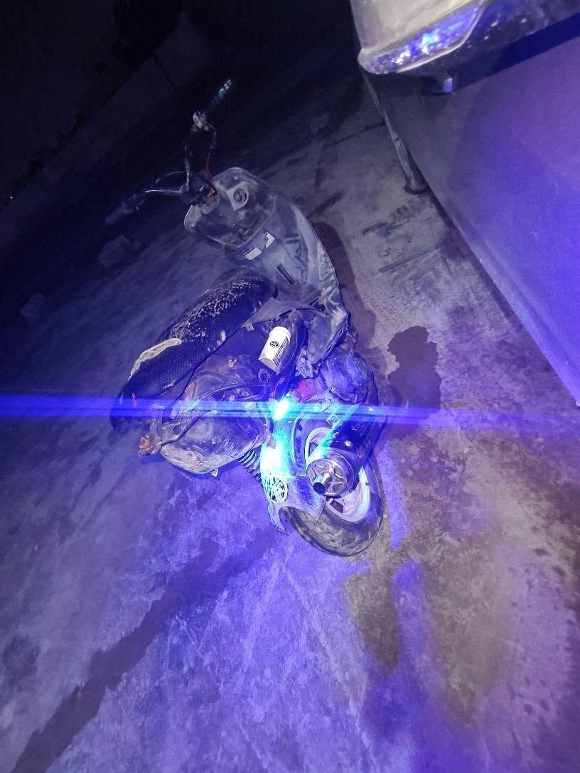 السلام عليكم منغولي للبيع او مراوس بكير  السعر300 كاملة نقصهة هندر شغل وطلع مكينة تخبل مكاني بعقوبة تواصل خاص او وتساب ***********
