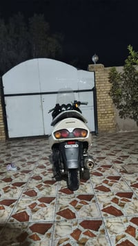 صفر • كفالة عامه • اوراق كاملة