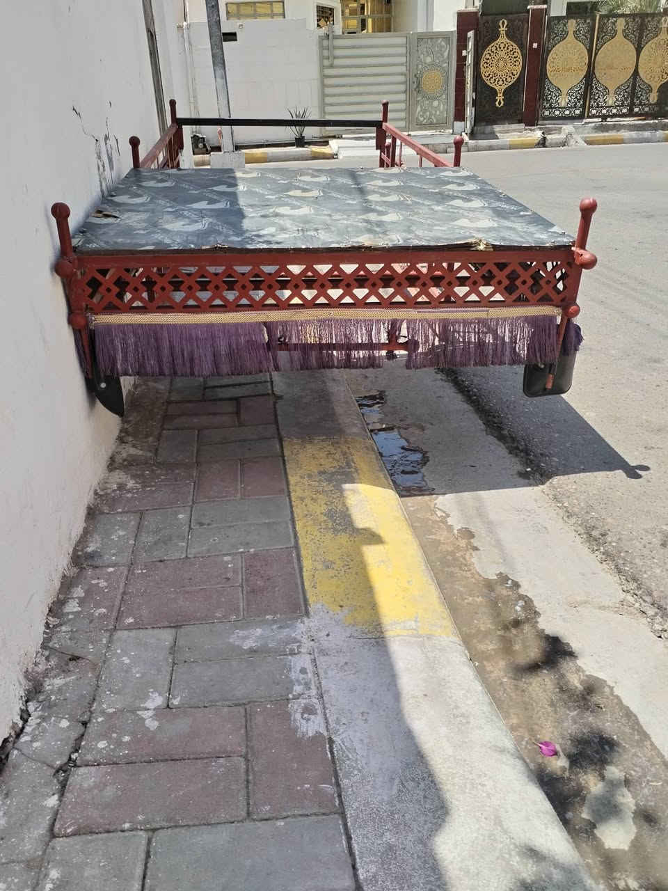 سلام عليكم
محجل ستوته فحل 23للبيع بعده جديد سعره/ 200/ *********** مكانه تئميم القادسيه الثانيه
