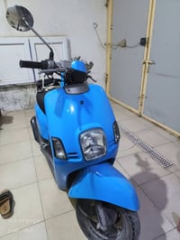 ماكس بوليسي • جديدة ٥ أشهر • مكفولة