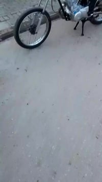 نامه • بلااد • شرط الفحص