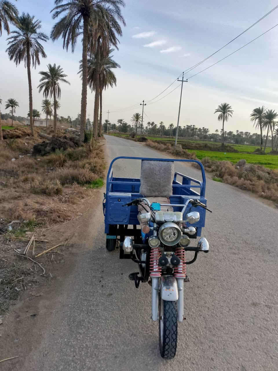 يالله سلام عليكم ستوته للبيع جمره مديل 2023  مكان دوانيه قضاء شاميه سعر 2600 وبيه تصال ***********
