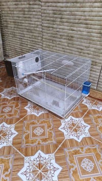 قفاص • نظيفه • استخدام قليل