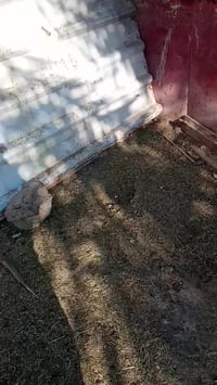 سندويج البيع 3قطع كل قطعه 3متر 07828567814