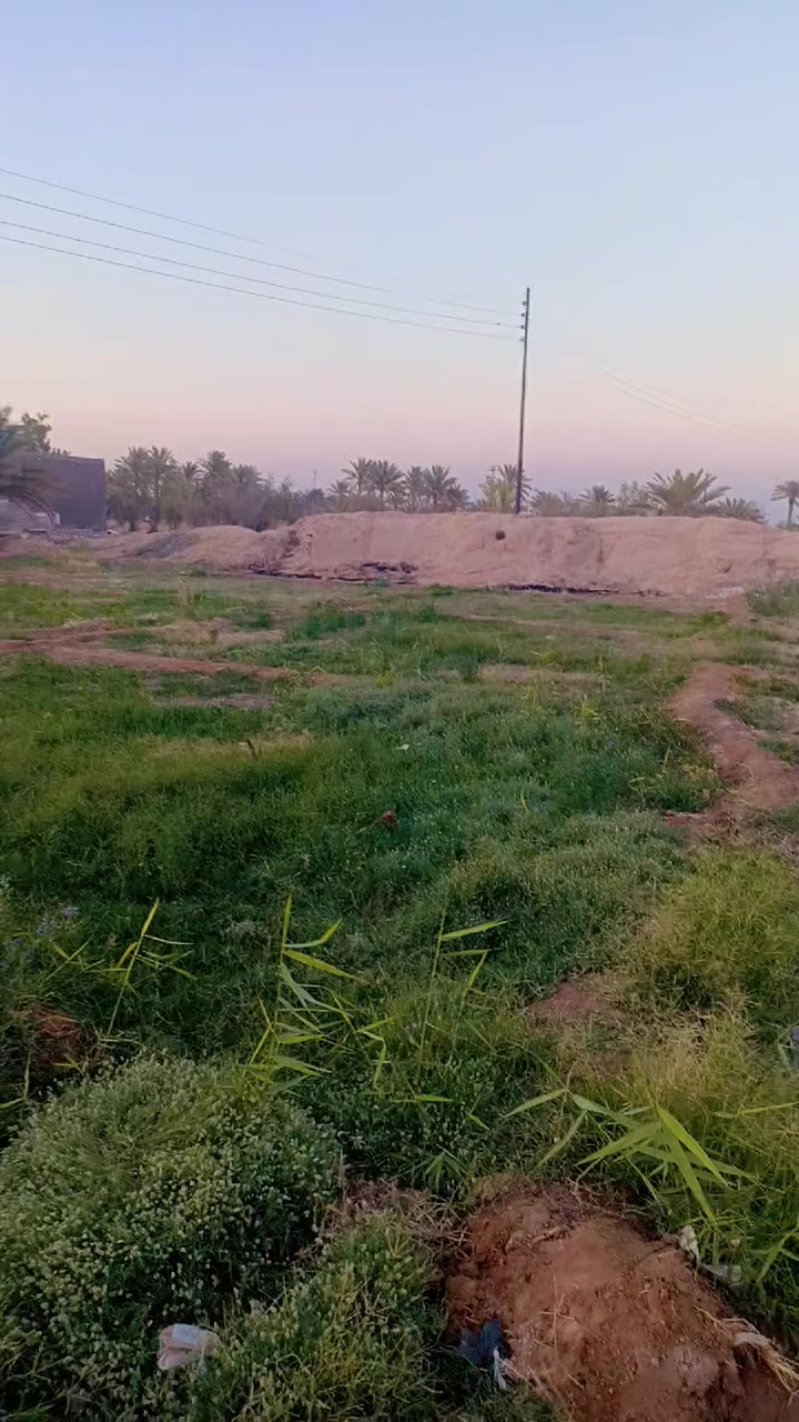 سلام عليكم ارض زراعيه للبيع مساحه 900مترطريق يا حسين خلف الحسينيات 
عمود 413 يودج 💦ماي كهرباء مولده نبيريه
للستفسار ***********
