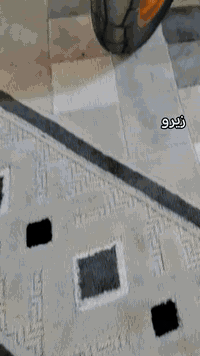 زت آر. زيرو. صفر كيلو 
اللون البرونزي  الحديث الحفر
الاستفسار ***********. واتساب موجود
