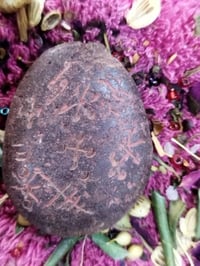 هبهاب مغربي • عمل الحجر • الميمونة ميسان