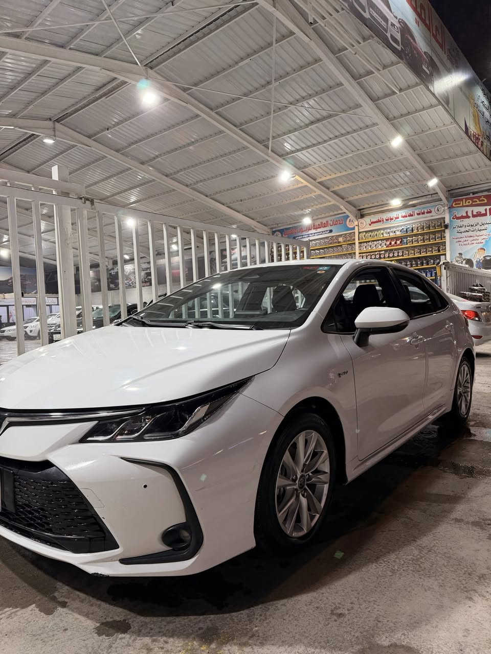 كورولا هايبرد 2025 كشن كهرباء
كورولا هايبرد 2025 شكل الخليجي فول مواصفات للاخير

كشن كهرباء وسبايدر بلادي لا اتقارن وي الكشن العادي

ماشية 22 الف 
السيارة ترايها مال زيرو سبير منازل

ملاحظات:- مكفولة السيارة ماعدا الدعامية الامامية مصبوغة بسبب الشخوط ومكانين بارد فقط
شرط الفحص وين مايعجبك افحص 

السيارة مغلفة جام عازل حراري بالكامل

وبالنسبة للسعر معلية السوك صعد السوك نزل ابيع باليرضي الله 

مكاني بغداد الكاظمية
***********
