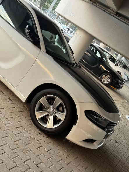 بيع مستعجل موديل 2018 SXT
موديل 2018رقم بغداد بسمي فول مواصفات السعر 165بيها 5قطع جملغات خلفيه وبيبان ثنين مكينه 3600 صدر مكينه كير اكسل تبريد كفاله ماشيه 150كيلو تخم تاير جاهزه للخير مكاني بغداد البياع ‏‪0782 503 9169‬‏ الحادث وسونار بلمنشور
