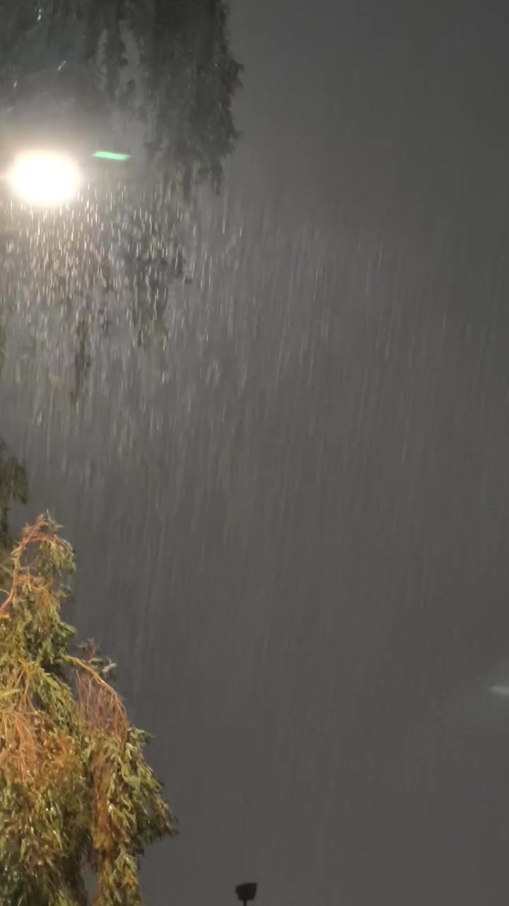 ملك التصوير فيفو اكس٢٠٠ برو جهاز جديد لوك نسخه عالميه ذاكره ٥١٢ ملحقات مع ٣ كفرات بيع او مراوس السعر مليون مكاني بغداد الحسينيه


**إذا كنت صاحب هذا الإعلان وتريد حذفه لأي سبب، رجاءا أرسل رسالة إلى الدعم الفني**