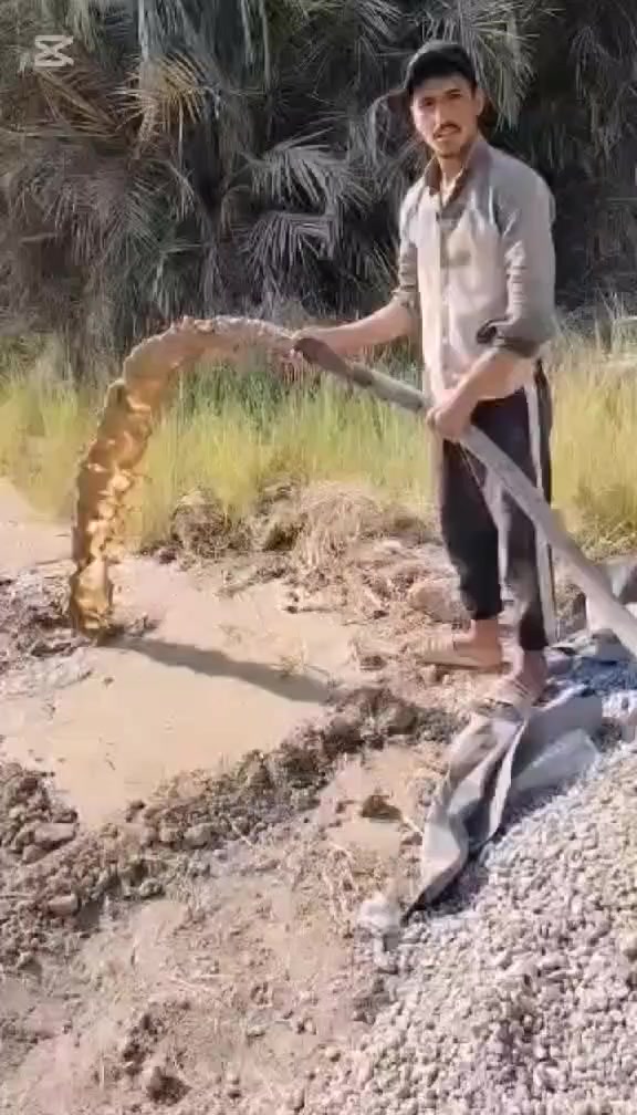 ***********
حفر الآبار الارتوازيه تصل الئ 100 متر
وتجفيف المنهولات
تعبيرات الشارع
***********
***********
