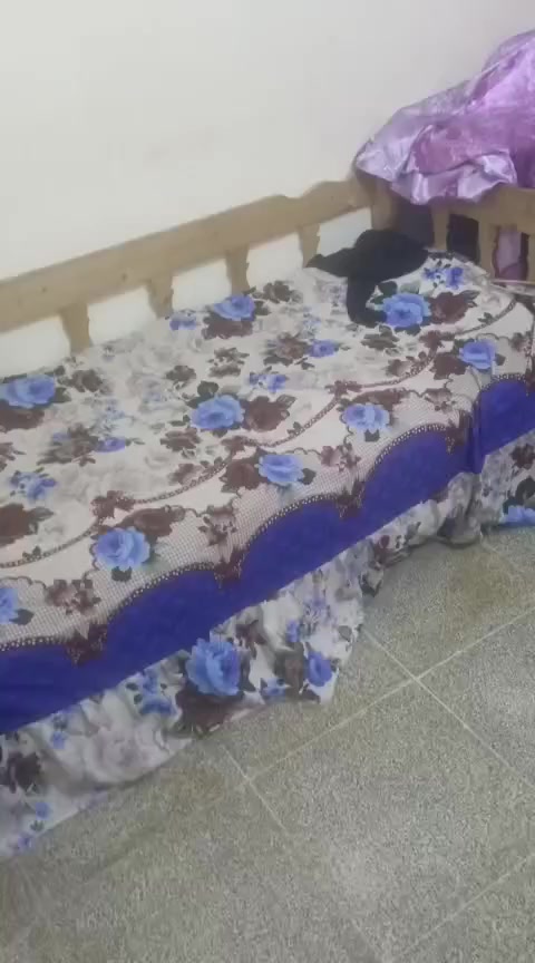 مشتمل كامل زراعي سند ٢٥ بغداد بوب شام شارع معمل الغاز شارع حجي بحر مساحه مشتمل ٦٠.. سعر ٣٥وبي مجال ***********
