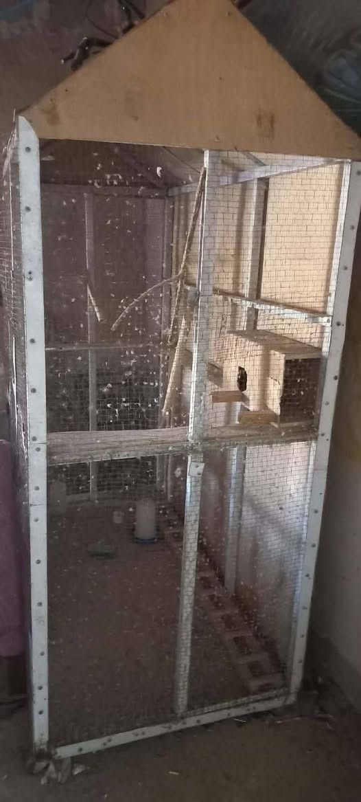 للبيع قفص  طيور حديد قياسه متر وستين
بسعر 70الف
وبراد ماء منضدي يشتغل بس الحار بسعر 25


**إذا كنت صاحب هذا الإعلان وتريد حذفه لأي سبب، رجاءا أرسل رسالة إلى الدعم الفني**
