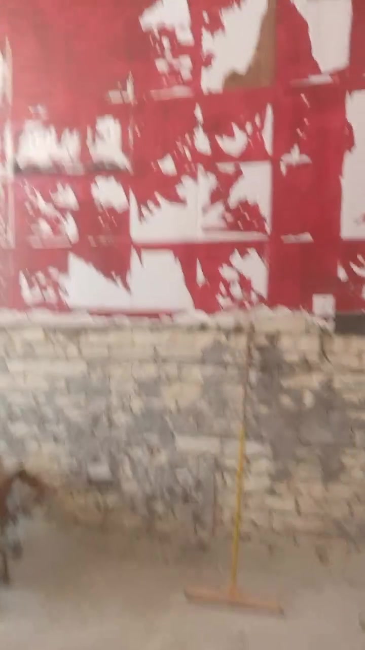 كل شيء نشتغل وانت لا دير بال كادر مصري كامل ***********
