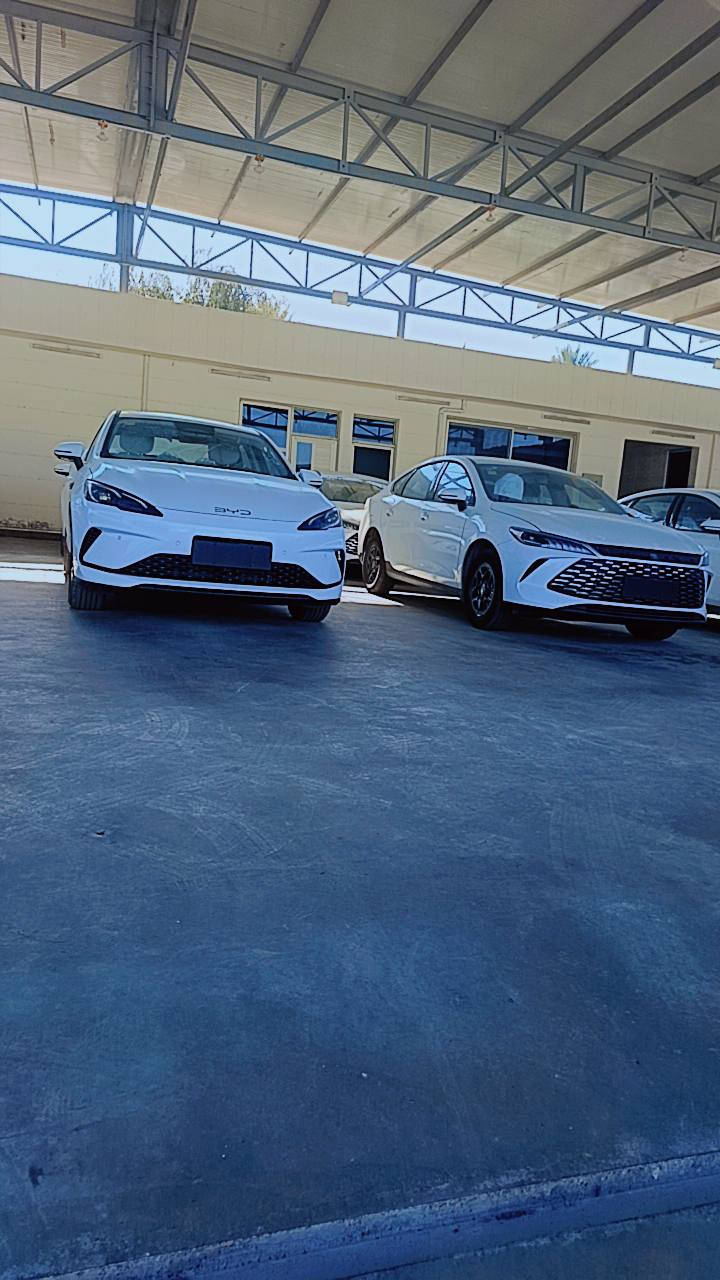 الاسعار جوه السووك 🔥
الديستروير 
الكن بلاص
سيل 5

 ويتوفر جميع انواع سيارات البي واي دي 
من قلب مخازن وساحات السيارات في اليوسفية 
للبيع المفرد والجملة

🥇مجمع معارض مدخل بغداد للسيارات
الاسعار اتصل وتدلل انسب الاسعار 

🔴بي واي دي دسترويرBYD موديل 2025 نار 🔥 
🔴بي واي دي كن بلاص BYD موديل 2025 🔥 
🔴بي واي دي سيل BYD موديل 2025 🔥 

الاسعار جدا مناسبه
        زورونا واهلا وسهلا بكم
يتوفر كافة انواع byd😍

___________________
مواصفات الكورلا 
فول الفول 
كرسي عادي 
شكل الامريكي وشكل خليجي
               
للاستفساراكثر اتصل على الأرقام التالية
🥰🥰🥰🥰☎️☎️☎️☎️

عزالدين الغريري
ادهم الغريري
***********
***********
***********
***********
📍الموقع بغداد اليوسفية قرب سيطرة 75
( مجمع معارض مدخل بغداد للسيارات)
(((معارض اليوسفية))) maps/waze 📍#BYD #bydبغداد #العراقيين
#BYDIraq
#يخيي
#متابعة
#BYD#. #بغداد
