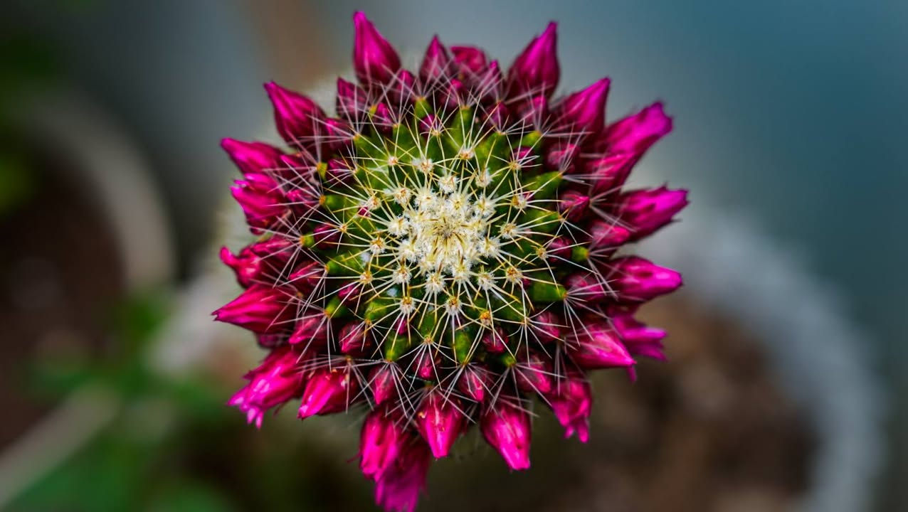 للبيع
50mm. f1.8 oss
٢٤٠ الف وبیها مجال بسیط
⬇️ودزيتلك همينة نموذج من صور العدسة


**إذا كنت صاحب هذا الإعلان وتريد حذفه لأي سبب، رجاءا أرسل رسالة إلى الدعم الفني**