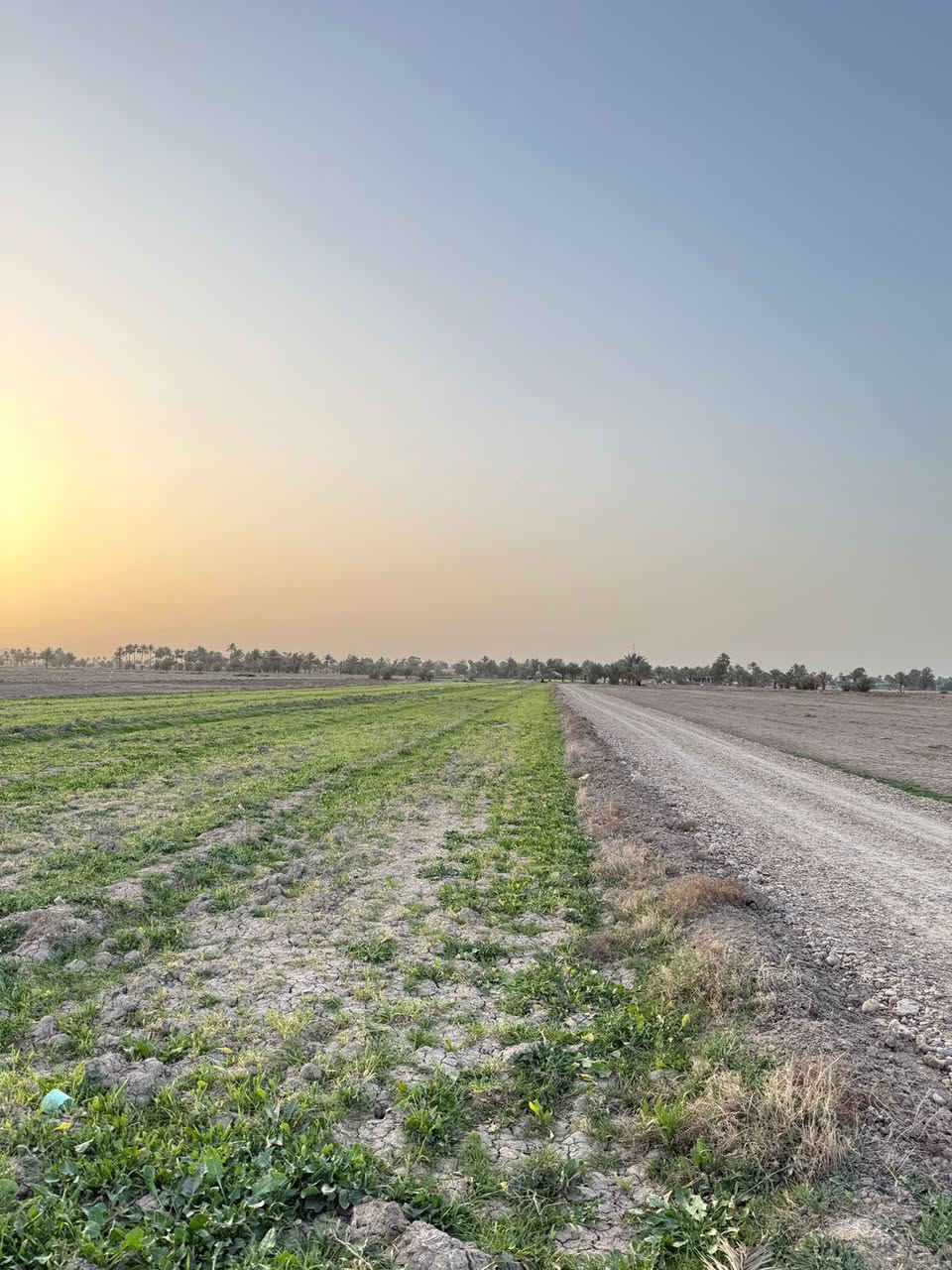 امتلك دونم طابو زراعي سند ٢٥ 
ابي غريب منطقة ١٠ مناصير والسميلات
كامل خدمات
سعرالدونم :-75 مليون 
للاستفسار:-***********

@شركة_اعمار
